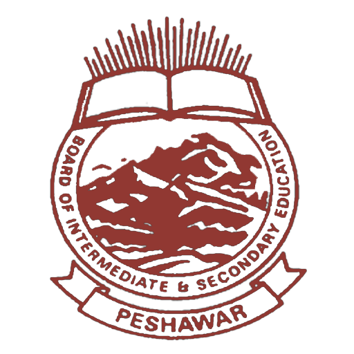 Check Online » BISEP Peshawar Board 10th Class Result 2024